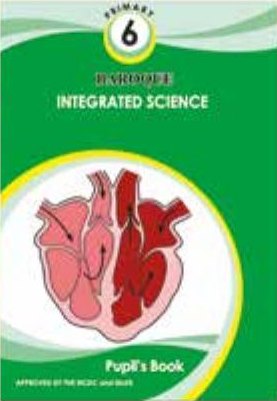 Cover of Integrated Science Pupil's Book 6